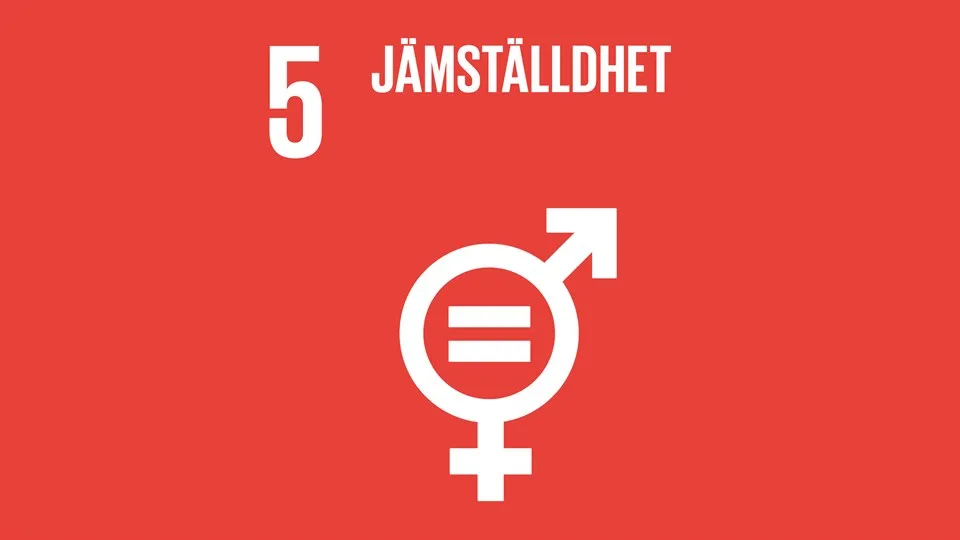 Globala målen