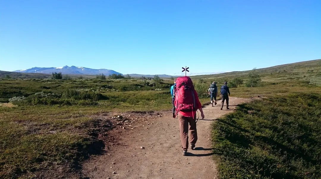 Storslagna fjäll